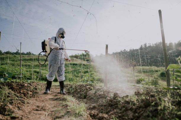 Best Pest Prevention Services  in Hasley Nyon, CA