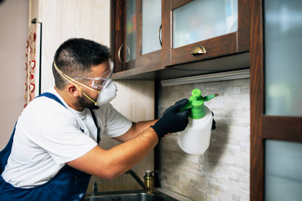 Best Commercial Pest Control Services  in Hasley Nyon, CA