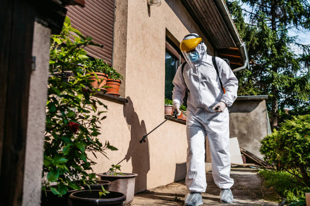 Best Affordable Pest Control Services  in Hasley Nyon, CA