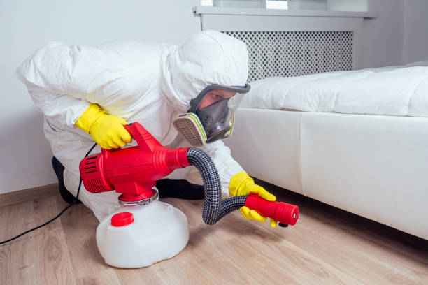 Best Cockroach Control Services  in Hasley Nyon, CA