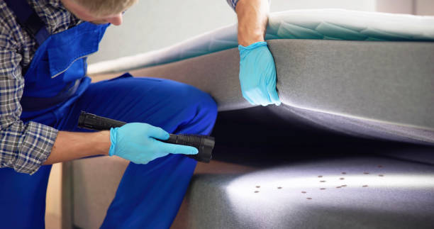 Best Wasp Removal Services  in Hasley Nyon, CA