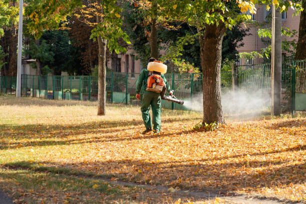 Best Pest Inspection Near Me  in Hasley Nyon, CA