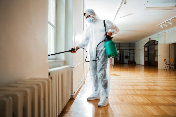 Best Local Pest Control Services  in Hasley Nyon, CA