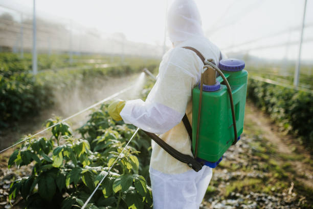 Best Commercial Pest Control Services  in Hasley Nyon, CA